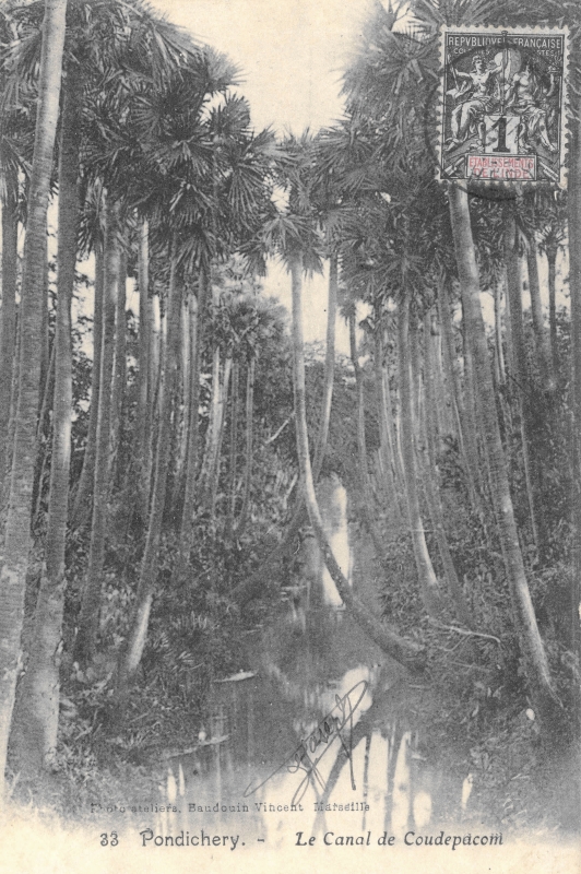 12-09 - Pondichery - canal de Coudepacom